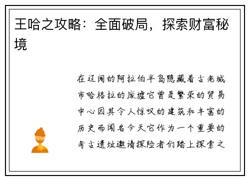 王哈之攻略：全面破局，探索财富秘境
